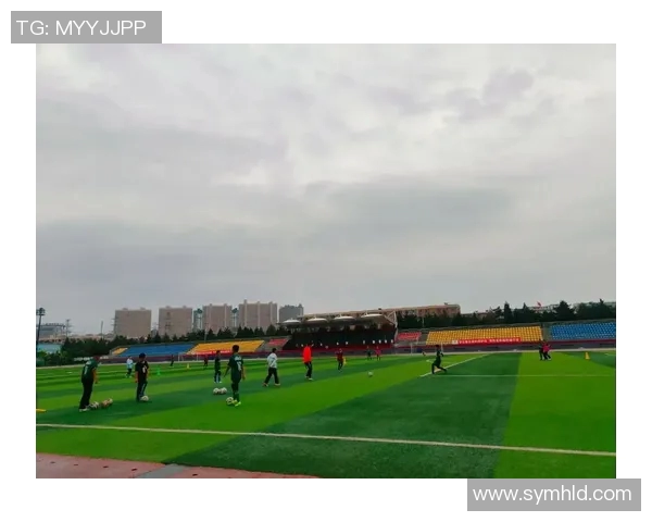 青春岁月里的足球传奇与梦想追逐的回忆